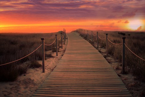 pathfor information